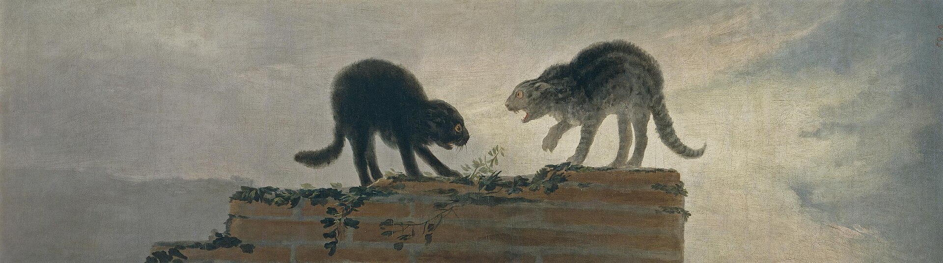 Cat fight